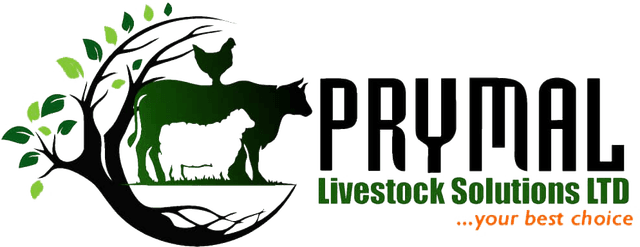Prymal Livestocks